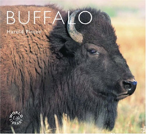 buffalo 1st edition harold picton 1841072877, 978-1841072876