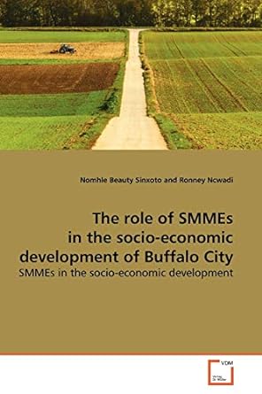 the role of smmes in the socio economic development of buffalo city smmes in the socio economic development