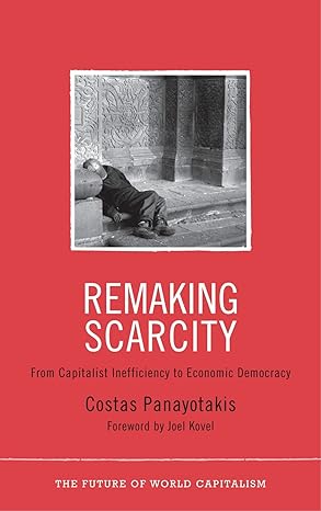 remaking scarcity from capitalist inefficiency to economic democracy 1st edition costas panayotakis