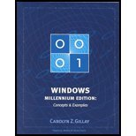 windows 1st edition carolyn z gillay 188790249x, 978-1887902496
