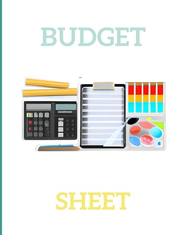 budget sheet planner monthly tracker organizer large size four years 48 months 1st edition chudy design
