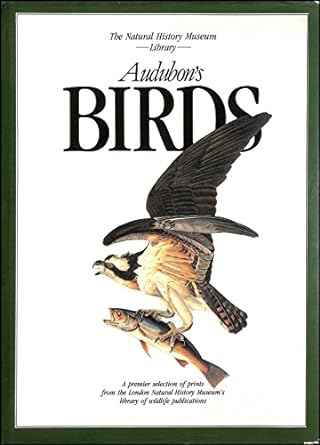 audubons birds 1st edition john james audubon 1853269662, 978-1853269660