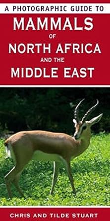 a photographic guide to mammals of north africa and the middle east 1st edition chris stuart ,mathilde stuart