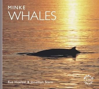 minke whales 1st edition a rus hoelzel ,jonathan stern 1900455757, 978-1900455756