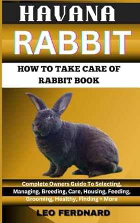 havana rabbit how to take care of rabbit book the acquisition history appearance housing grooming nutrition