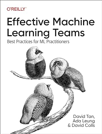 Effective Machine Learning Teams Best Practices For ML Practitioners