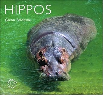 hippos 1st edition glenn feldhake 1841072869, 978-1841072869