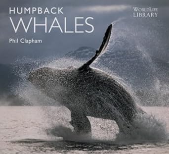 humpback whales 1st edition phil clapham 0948661879, 978-0948661877