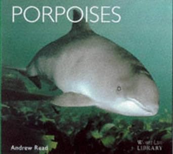 porpoises 1st edition andrew j read 1900455609, 978-1900455602
