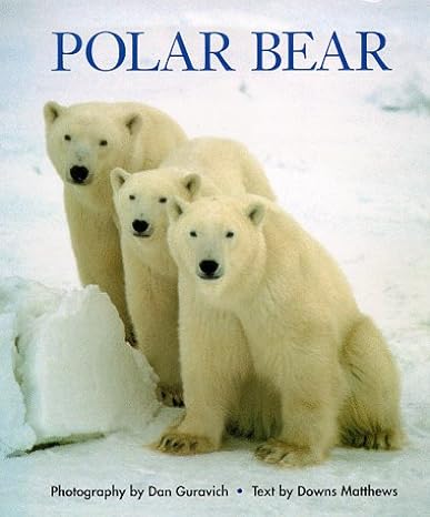 polar bear 1st edition downs matthews ,dan guravich 0811802043, 978-0811802048