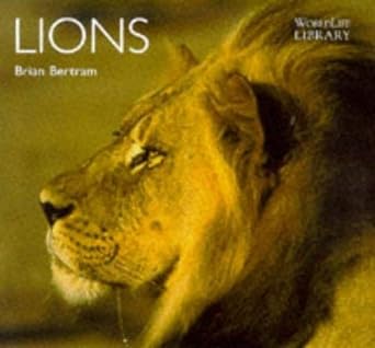lions 1st edition brian bertram 190045551x, 978-1900455510