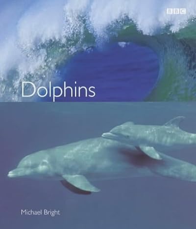 dolphins 1st edition michael bright 0563534087, 978-0563534082