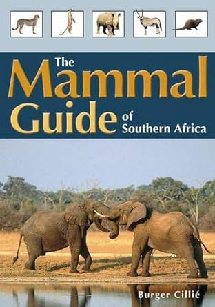 the mammal guide of southern africa 1st edition burger cillie 1875093451, 978-1875093458