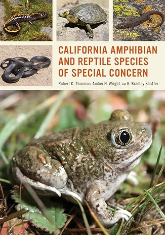 california amphibian and reptile species of special concern 1st edition robert c thomson ,amber n wright ,h