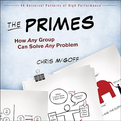 the primes how any group can solve any problem 1st edition chris mcgoff 1118173279, 978-1118173275