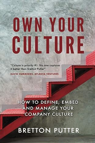 own your culture how to define embed and manage your company culture 1st edition mr bretton putter