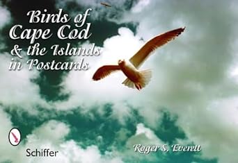 birds of cape cod and the islands in postcards 1st edition roger s everett 0764324489, 978-0764324482