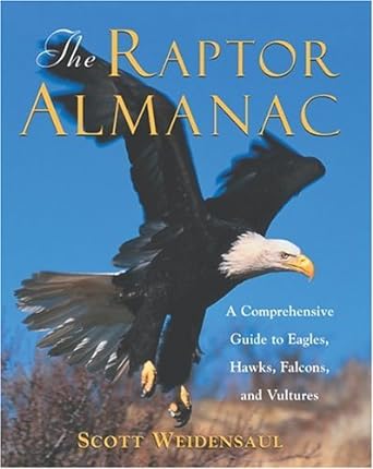 the raptor almanac a comprehensive guide to eagles hawks falcons and vultures 1st edition scott weidensaul