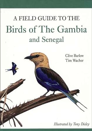 a field guide to birds of the gambia and senegal 1st edition clive barlow ,tim wacher 0300115741,