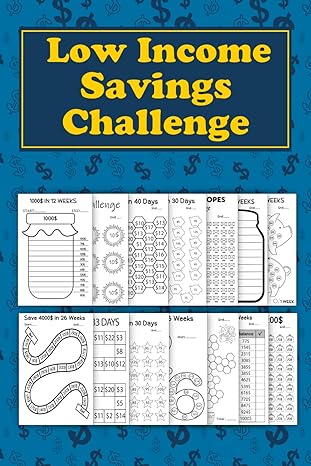 low income savings challenges 1st edition roban falkam b0cjxgkyx6