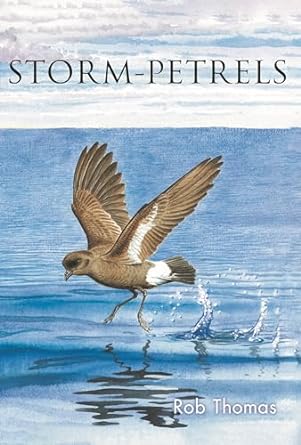 storm petrels 1st edition rob thomas 1472985826, 978-1472985828