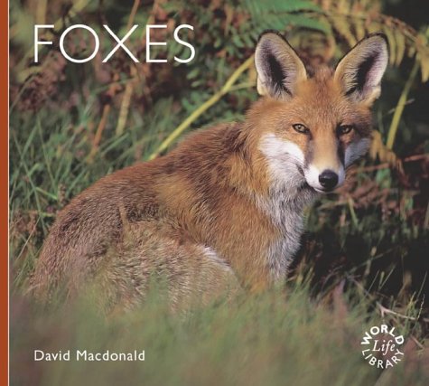 foxes 1st edition david w macdonald 1841070416, 978-1841070414