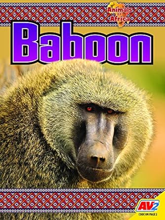 baboon 1st edition katie gillespie 179114411x, 978-1791144111