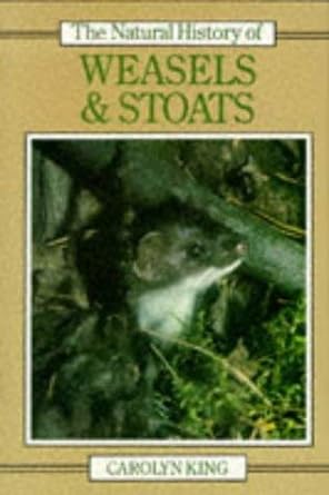 the natural history of weasles and stoats 1st edition carolyn king 0747018006, 978-0747018001