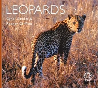 leopards 1st edition cyndi gamble rodney griffiths 1841072540, 978-1841072548