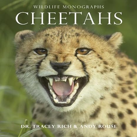 wildlife monographs cheetahs 1st edition tracey rich, andy rouse 1901268098, 978-1901268096