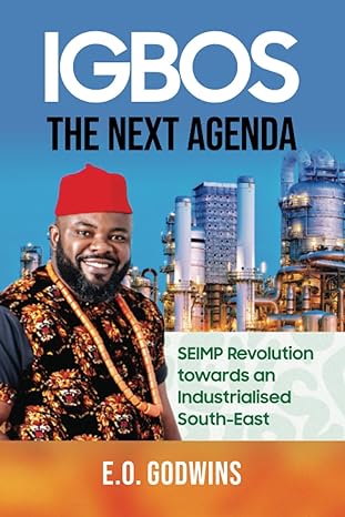 igbos the next agenda seimp revolution towards an industrialised south east 1st edition e o godwins