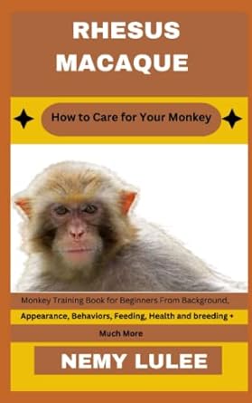 rhesus macaque how to care for your monkey monkey training book for beginners from background appearance