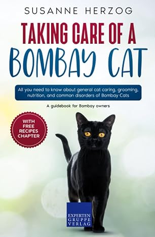 taking care of a bombay cat all you need to know about general cat caring grooming nutrition and common