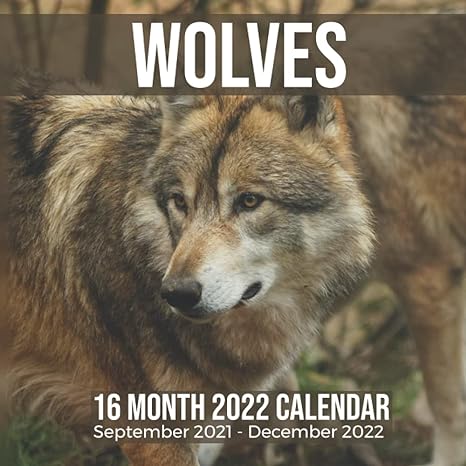 wolves 16 month 2022 calendar september 2021 december 2022 wolf animal square photo date book monthly pages 8