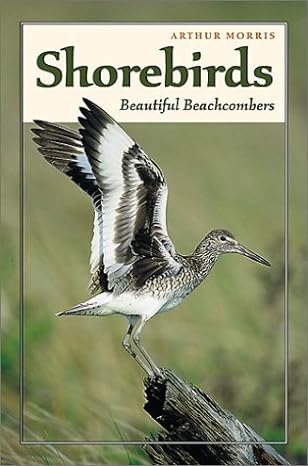 shorebirds beautiful beachcombers 1st edition arthur morris 0811726193, 978-0811726191