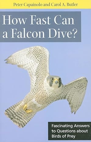 how fast can a falcon dive fascinating answers to questions about birds of prey none edition professor peter