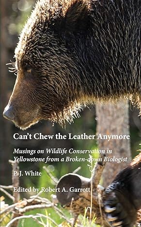 cant chew the leather anymore musings on wildlife conservation in yellowstone from a broken down biologist