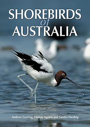 shorebirds of australia op 1st edition andrew geering ,lindsay agnew ,sandra harding 0643092269,