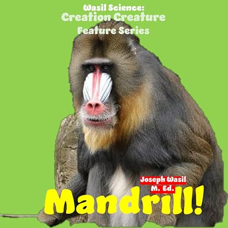 Wasil Science Creation Creature Features Mandrill