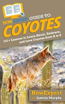 howexpert guide to coyotes 101+ lessons to learn about embrace and love coyotes from a to z 1st edition