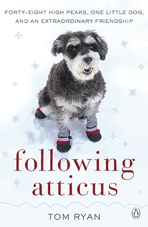following atticus how a little dog led one man on a journey of rediscovery to the top of the world 1st