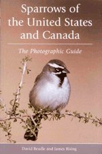 sparrows of the united states and canada a photographic guide 1st edition james d rising ,david beadle ,james