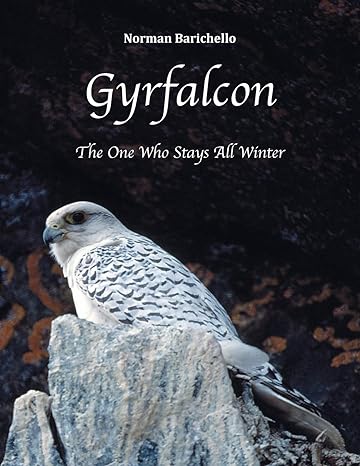 gyrfalcon the one who stays all winter 1st edition norman barichello 1525551035, 978-1525551031