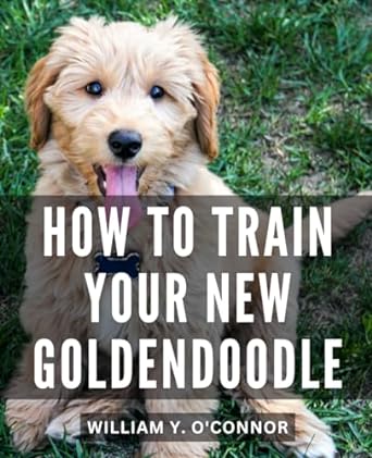how to train your new goldendoodle a guide to raising a well behaved goldendoodle unlock the secrets of