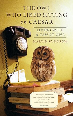the owl who liked sitting on caesar living with a tawny owl 1st edition martin windrow 1250069343,