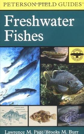 a field guide to freshwater fishes north america north of mexico 1st edition lawrence m page ,brooks m burr