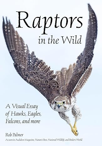 raptors in the wild a visual essay of hawks eagles falcons and more 1st edition rob palmer 1682033627,