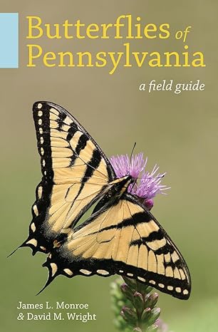 butterflies of pennsylvania a field guide 1st edition james l monroe ,david m wright 0822964554,