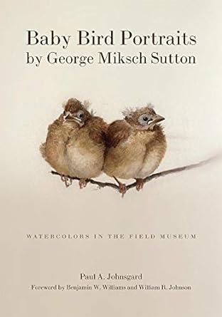 baby bird portraits by george miksch sutton watercolors in the field museum 1st edition paul a johnsgard