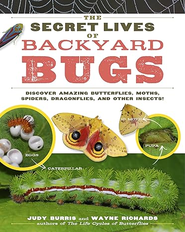 the secret lives of backyard bugs discover amazing butterflies moths spiders dragonflies and other insects